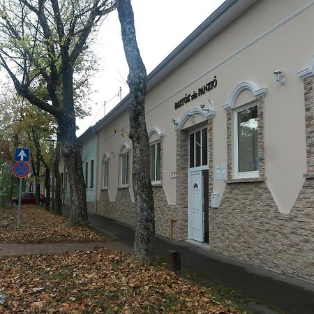 Bed and Breakfast Bartok Ter Panzio Erlau Exterior foto